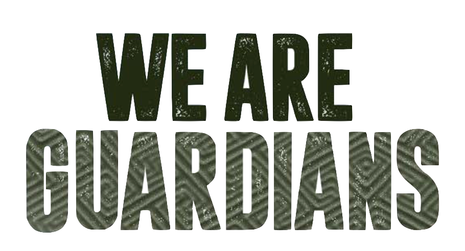 We Are Guardians Film